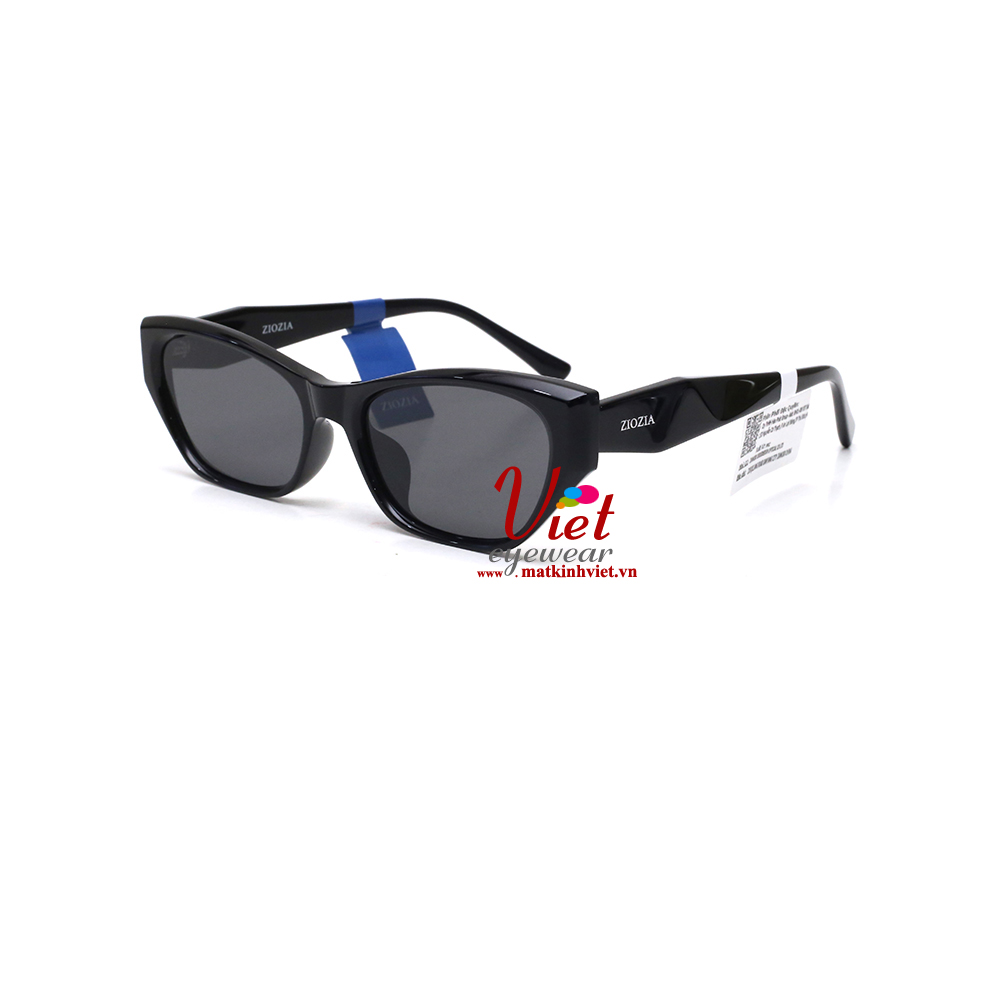 Gọng kính ZIOZIA KDBS6017  C1 
